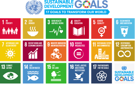 UN sustainable development goals